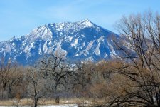 SnowScapes 312.jpg