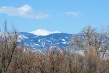 SnowScapes 313.jpg