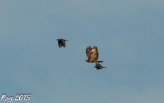 DSC_2768_DxO.jpg