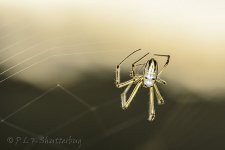 15A_9578_webshot.jpg