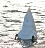 DSC_4983.jpg