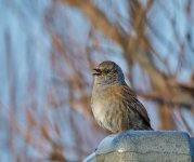 DSC_4902.jpg