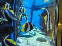 DSCN9128.jpg