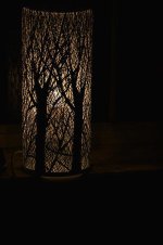 DSC_0037.jpg