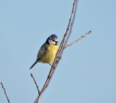 DSC_5034.jpg