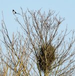 DSC_5032.jpg