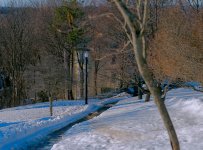 D610#2 W. Prom. #2-24-70-Polarizer-Winter HD2d.jpg