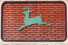 deer--at--Banbung-YPE-1.jpg