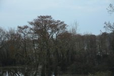 DSC_3841.jpg
