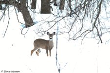 DSC_7929.jpg