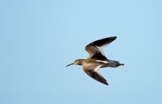 DSC_5243.jpg