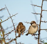 DSC_5118.jpg