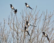 DSC_5209.jpg