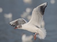 JC3_5850-1.jpg