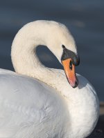 JC3_5820-1.jpg