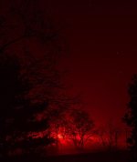 night-shadow.jpg