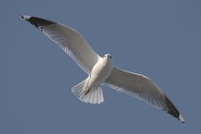 JC3_5834-1.jpg