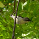 FSC_5595.jpg
