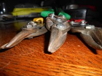 DSCN1131.jpg