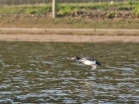 DSC_5430.jpg