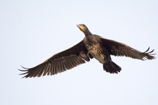 DSC_5410.jpg