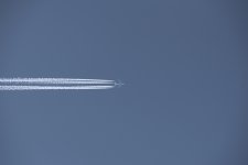 503_6026-1.jpg