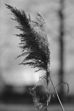 503_6087.jpg