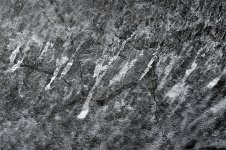cracked texture.jpg