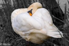 DSC_0054.jpg
