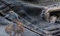 Denim texture-.jpg Denim texture-.jpg