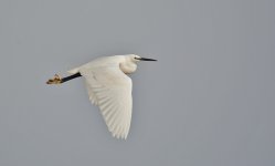 DSC_5718.jpg