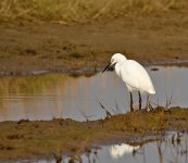 DSC_5708.jpg
