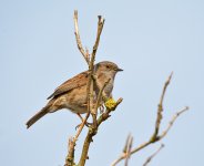 DSC_5677.jpg