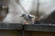 DSC_2028.jpg