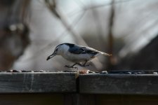 DSC_2043.jpg