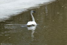 DSC_1201-01.jpg