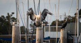 untitled-1-35.jpg