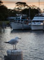 untitled-1-46.jpg