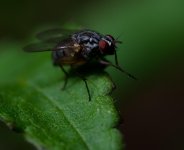 DSC_1018_edited-1.jpg