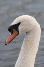 503_6437-1.jpg