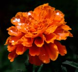 untitled-1-53.jpg
