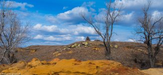 Kanopolisrocktrees.jpg