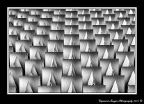 DSC_4058_Web.jpg