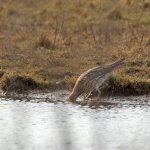 DSC_5783.jpg