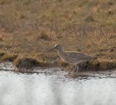 DSC_5784.jpg