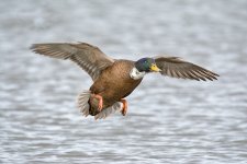 DSC_5752.jpg