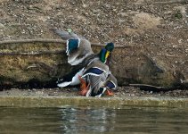 DSC_5843.jpg