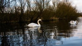 DSC_1193.jpg