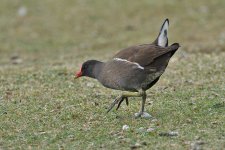 DSC_5821.jpg