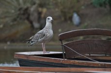 DSC_5834.jpg